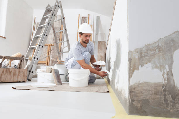 Reliable The Acreage, FL Mold Removal Solutions