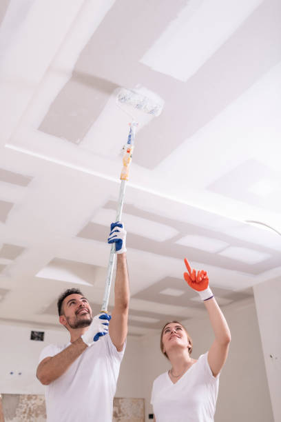 Best Basement Mold Removal  in The Acreage, FL