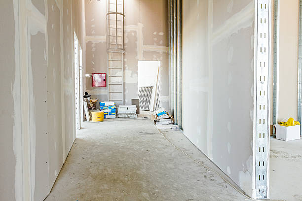  The Acreage, FL Mold Removal Pros